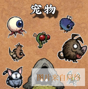 饥荒宠物代码一览