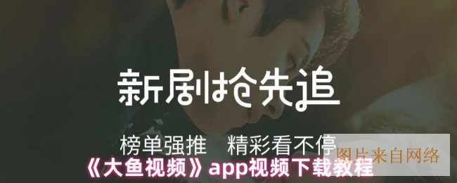 《大鱼视频》app视频下载教程