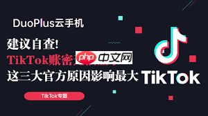 TikTok无法登录账户的原因是什么