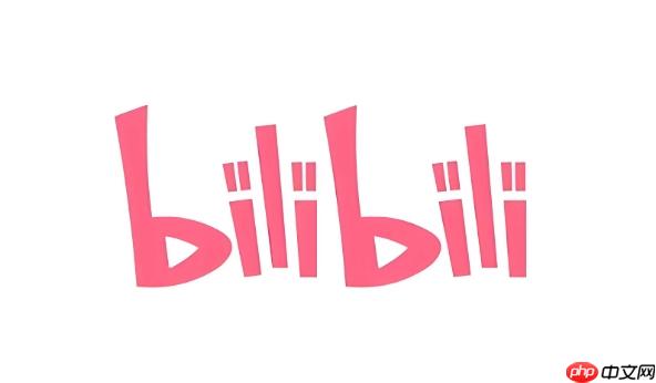 Bilibili网页版入口_Bilibili官网在线登录地址