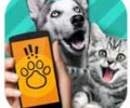 猫狗翻译器免费版下载安装-pet translator猫狗翻译器下载